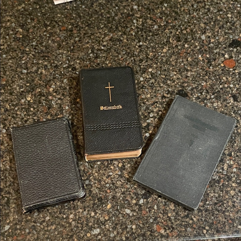 Icelandic Religious Books Lot of 3 Antique Incl New Testament Bible